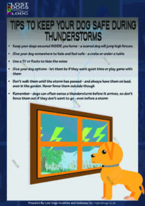 Tips For Thunderstorms