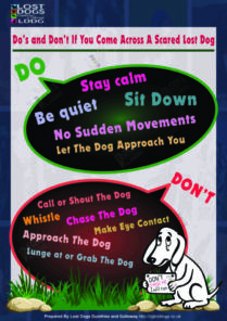 Do's and Don'ts If You Come Across A Scared Lost Dog