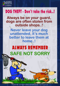 Dog Theft Awareness